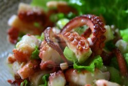 Ahtapot Salatası