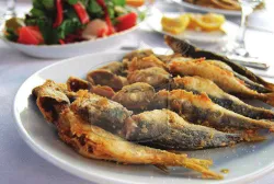 İstavrit Balığı