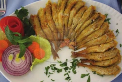 Mezgit Balığı
