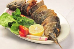 Palamut Balığı