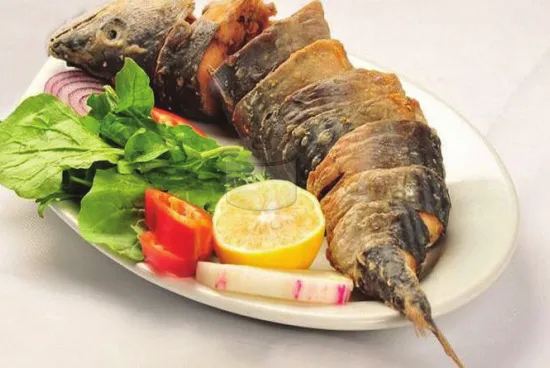 Palamut Balığı