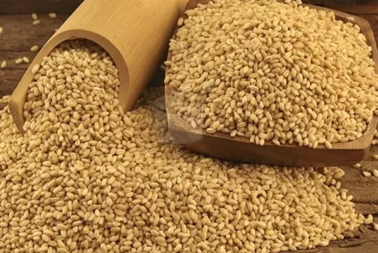 Un,  Bulgur,  Dövme (Yarma) Yapımı